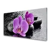 tulup.si Slika na steklu Orchid cvetje orchid spa 120x60 cm 4 obešalnika