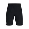 UNDER ARMOUR Športne hlače črna