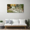 tulup.si Slika na steklu Forest slap narava 120x60 cm 2 obešalnika