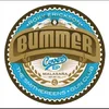 Bummer - Covers EP (LP)