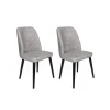 Hanah Home Set trpezarijskih stolica Dallas 524 V2, 2 komada, Sivi