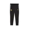 PUMA Manchester City Slim Training Pants Men, Sports, Black/Cast Iron, L