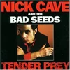 Nick Cave & The Bad Seeds Tender Prey