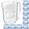 shumee Vrč za filtriranje bele vode Aquaphor Fresh 3,2 l z 10 kartušami Maxfor+