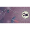 Ophidia