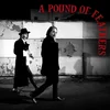 The Black Crowes - A Pound of Feathers (CD)
