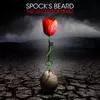 Spocks Beard - The Archaeoptimist (2 LP)