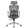 Ergovision Ergonomski pisarniški stol APOLLO PLUS | Barva: Siva