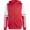 Mikica s kapuco adidas SQ25 HOOD Y
