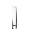 VAZA  5/24/5 cm  staklo