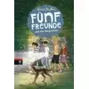 Fünf Freunde und das Burgverlies