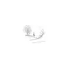 Birds Of Passage - Without The World (180g) (LP)