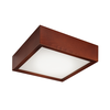 LED Plafonsko svetlo LED/12W/230V