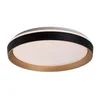 Rabalux Plafonjera Ladan, LED, Sa daljinskim, 48W, 3000-6500K, 50cm, Crna