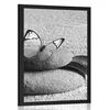Plakat modri metulj za Zen kamnu v črnobeli varianti - 20x30 silver