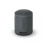 SONY SRS-XB100 Bluetooth zvučnik, Crni