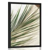 Plakat poletno tihožitje - 60x90 no frame