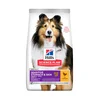 Hills Science Plan hrana za pse Medium Adult - Sensitive Skin&Stomach 14kg
