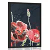 Plakat rdeč mak na črnem ozadju - 40x60 black
