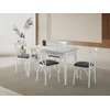 HANAH HOME Trpezarijski sto Vista 972