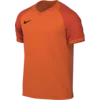 Nike Dres Dri-FIT Trophy VI