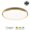 LED plafonjera LP-424-86R SG