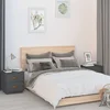 Nočna omarica 2 kosa siva 40x34x45 cm trdna borovina