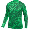 Dres z dogimi rokavi Nike Gardien V Goakeeper Jersey Women