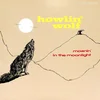 Howlin Wolf - Moanin In The Moonlight (Limited Edition) (Coloured) (180 g) (LP)