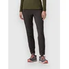 Patagonia Wind Shield ženske hlače black