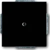 Busch-Jaeger Busch-Jaeger Centralni disk anth slepi pokrov s podpornim obročem 1742-81, (20858353)