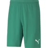 Puma Kratke hlače teamRISE Short