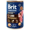 Brit PN Dog konzerva jagnjetina sa heljdom 400 g