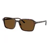 Ray-Ban Raimond Naočare za sunce RB 2231 902/57