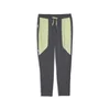 PUMA FLEX STRETCH Woven Training Pants Men, Sport, Galactic Gray/Apple Spritz, XL