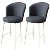 Hanah Home Set barskih stolica Fora, 2 komada, Antracit-beli