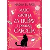Malo začina za ljubav i poneka čarolija