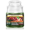 THD Italian Luxury Pomegranate dišeča sveča 95 g