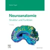 Neuroanatomie