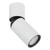 Plafonska lampa AFS117-1C WH
