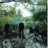 The Rippers - A Gut Feeling (Limited Edition) (LP)