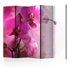 artgeist Paravan Pink Orchid I, 5-Delni, Dvostranski