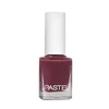 PASTEL lak za nohte št. 66 13 ml