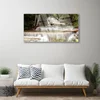tulup.si Slika na steklu Forest slap narava 100x50 cm 4 obešalnika