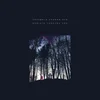 Ensemble Economique - Radiate Through You (Limited Edition) (Clear Pink Coloured) (LP)