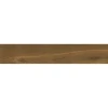Giornata Marrone 11x60