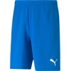 Puma Kratke hlače teamRISE Short