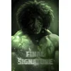 Final Signature Steam (PC) Key GLOBAL