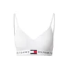 Tommy Hilfiger Underwear Nedrček mornarska/rdeča/bela