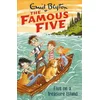 Famous Five: Five On A Treasure Island